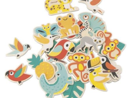 24-Piece Tropical Magnet Set on Sale