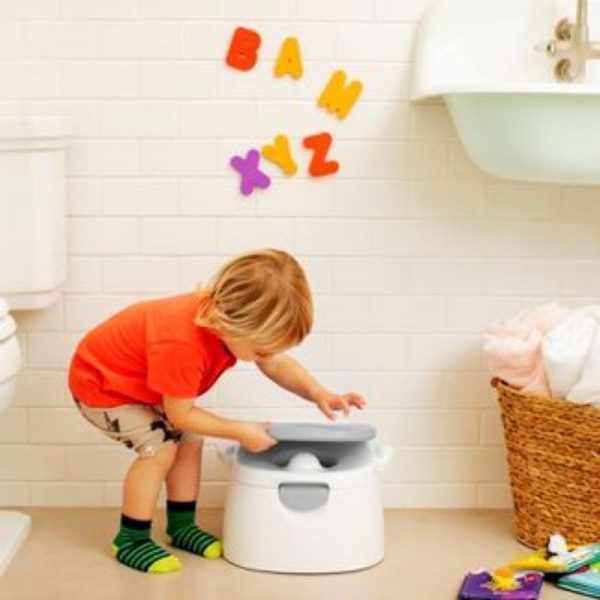 Arm & Hammer Multi-Stage 3-in-1 Potty Chair For Cheap