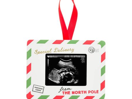 Special Delivery Sonogram Ornament For Sale