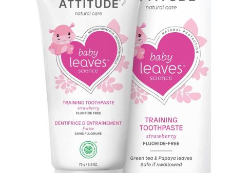 Fluoride Free Training Toothpaste - Strawberry Supply