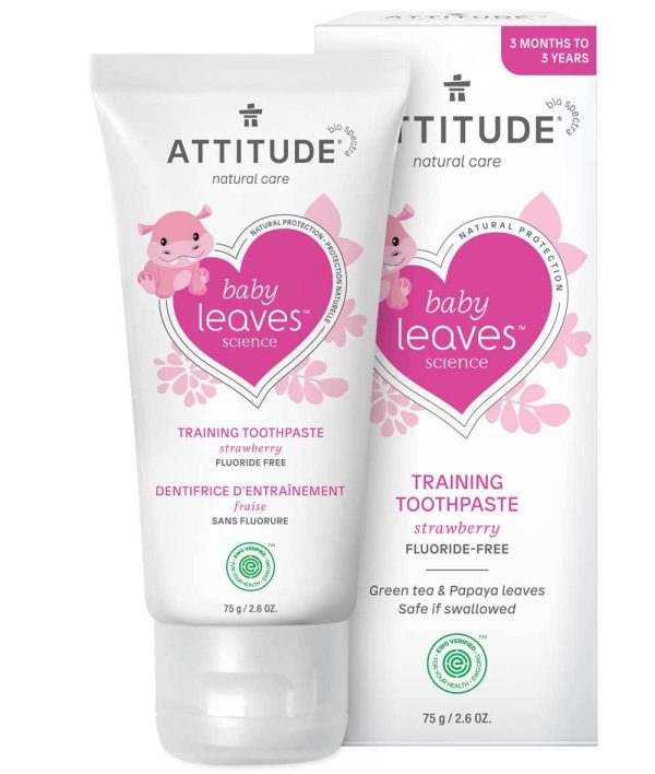 Fluoride Free Training Toothpaste - Strawberry Supply