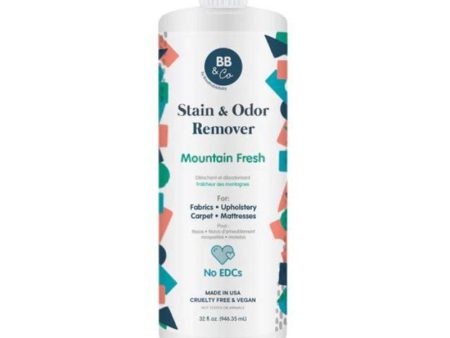 Stain & Odor Remover - Mountain Fresh Fashion