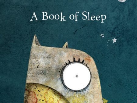 A Book of Sleep Online Hot Sale