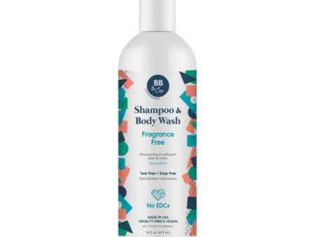 Shampoo & Body Wash - 16 fl oz. Supply