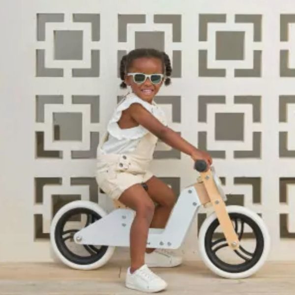 2-IN-1 Tricycle Online now