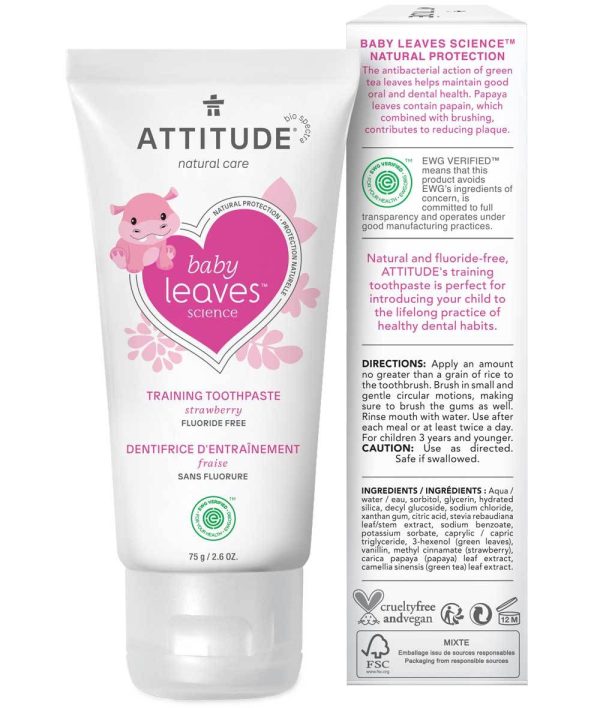 Fluoride Free Training Toothpaste - Strawberry Supply