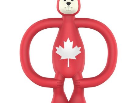 Animal Teether - Benji the Beaver Sale